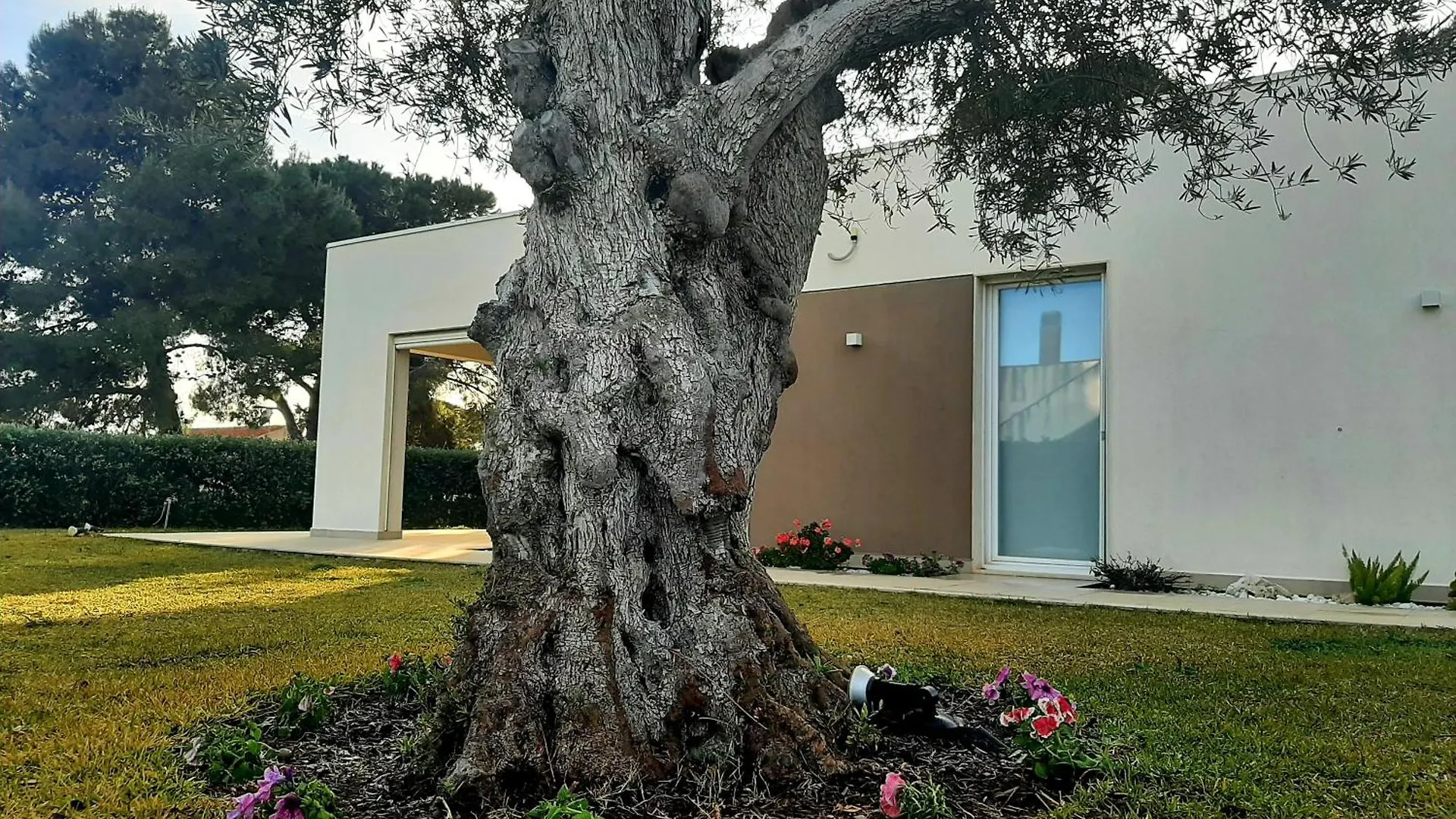 Il Giardino Dei Coralli Plemmirio Tatil Evi